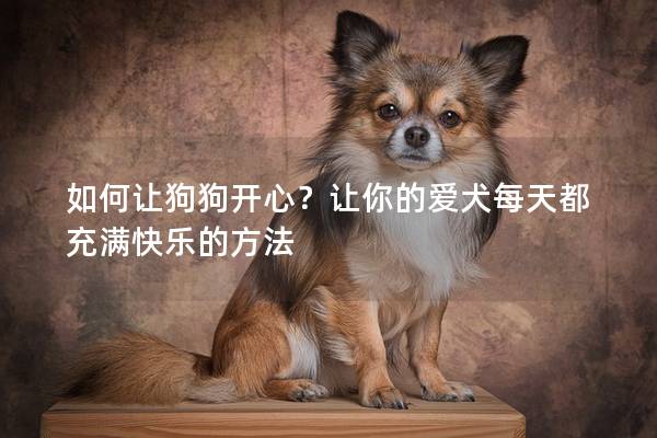 如何让狗狗开心？让你的爱犬每天都充满快乐的方法