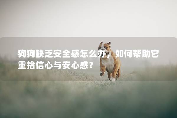 狗狗缺乏安全感怎么办，如何帮助它重拾信心与安心感？