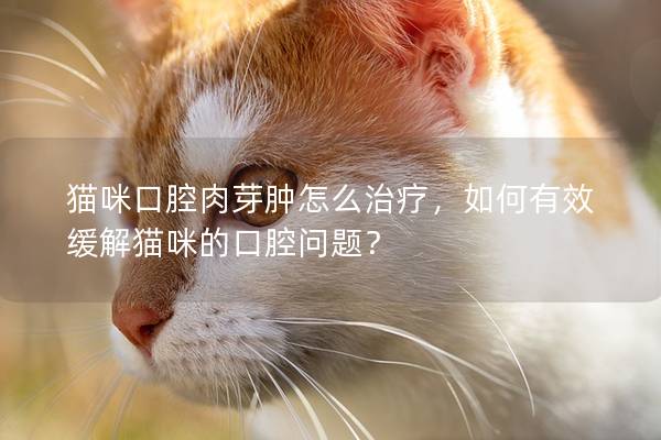 猫咪口腔肉芽肿怎么治疗，如何有效缓解猫咪的口腔问题？