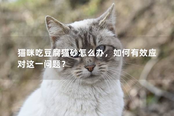 猫咪吃豆腐猫砂怎么办，如何有效应对这一问题？