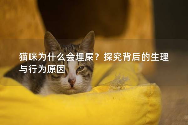 猫咪为什么会埋屎？探究背后的生理与行为原因