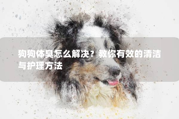 狗狗体臭怎么解决？教你有效的清洁与护理方法