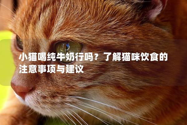 小猫喝纯牛奶行吗？了解猫咪饮食的注意事项与建议