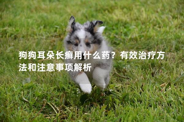 狗狗耳朵长癣用什么药？有效治疗方法和注意事项解析