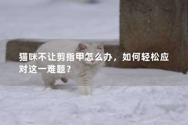 猫咪不让剪指甲怎么办，如何轻松应对这一难题？