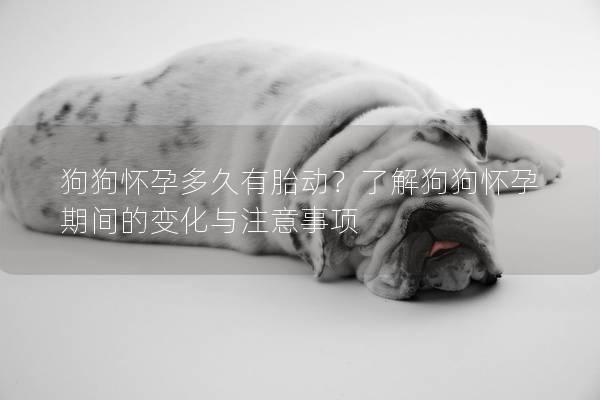 狗狗怀孕多久有胎动？了解狗狗怀孕期间的变化与注意事项