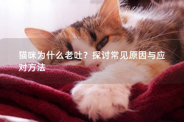 猫咪为什么老吐？探讨常见原因与应对方法