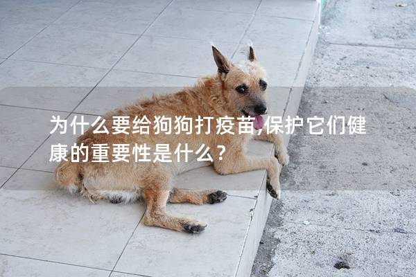 为什么要给狗狗打疫苗,保护它们健康的重要性是什么？