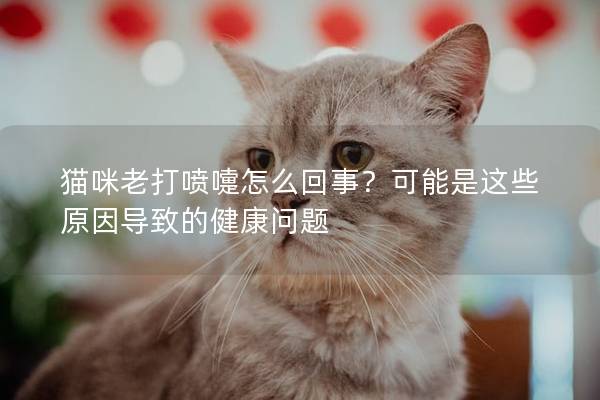 猫咪老打喷嚏怎么回事？可能是这些原因导致的健康问题