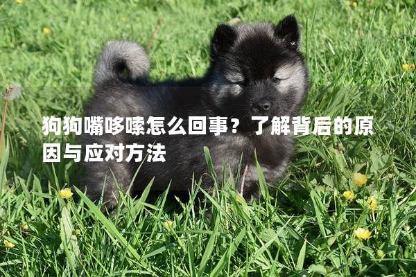 狗狗嘴哆嗦怎么回事？了解背后的原因与应对方法