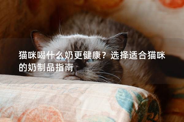 猫咪喝什么奶更健康？选择适合猫咪的奶制品指南