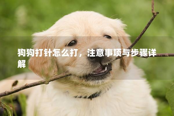 狗狗打针怎么打，注意事项与步骤详解