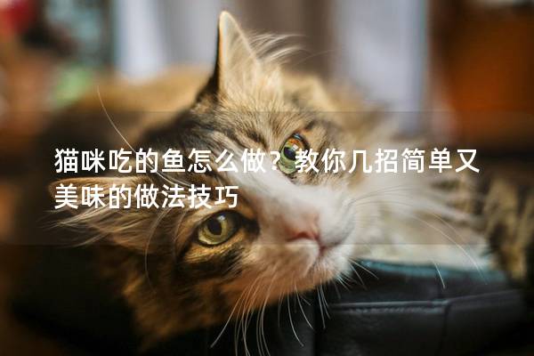 猫咪吃的鱼怎么做？教你几招简单又美味的做法技巧