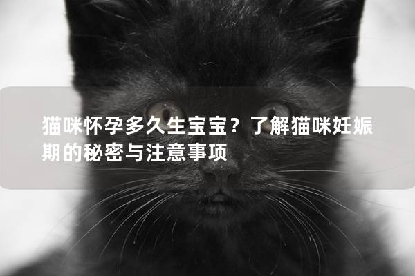 猫咪怀孕多久生宝宝？了解猫咪妊娠期的秘密与注意事项