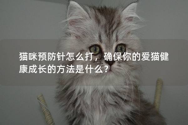 猫咪预防针怎么打，确保你的爱猫健康成长的方法是什么？