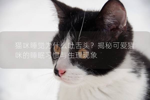 猫咪睡觉为什么吐舌头？揭秘可爱猫咪的睡眠习惯与生理现象