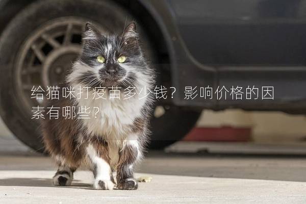 给猫咪打疫苗多少钱？影响价格的因素有哪些？