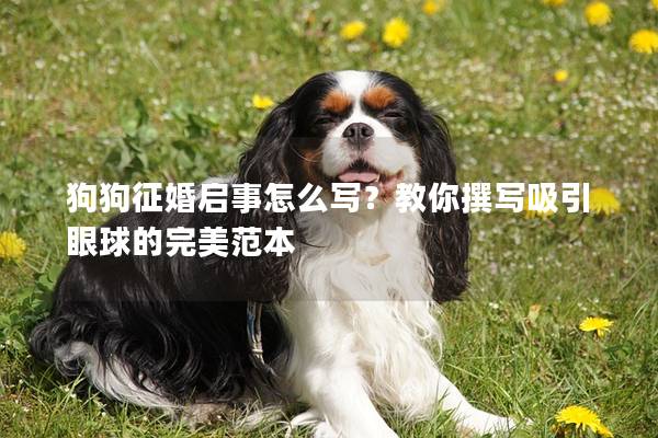 狗狗征婚启事怎么写？教你撰写吸引眼球的完美范本