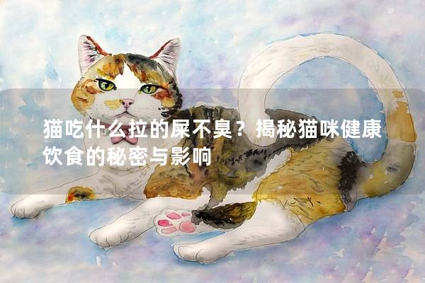 猫吃什么拉的屎不臭？揭秘猫咪健康饮食的秘密与影响