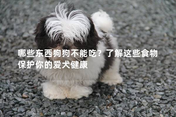 哪些东西狗狗不能吃？了解这些食物保护你的爱犬健康