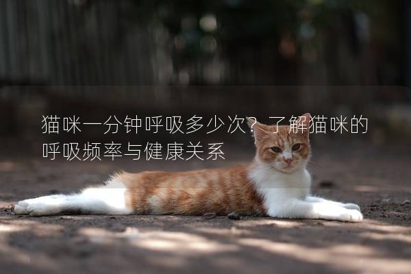 猫咪一分钟呼吸多少次？了解猫咪的呼吸频率与健康关系