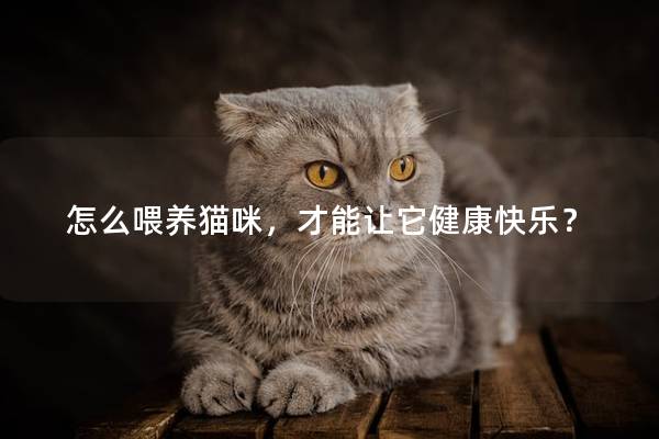 怎么喂养猫咪，才能让它健康快乐？