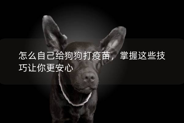 怎么自己给狗狗打疫苗，掌握这些技巧让你更安心