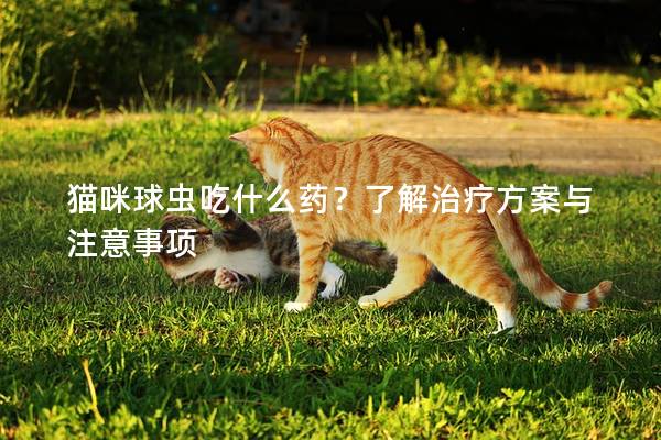 猫咪球虫吃什么药？了解治疗方案与注意事项