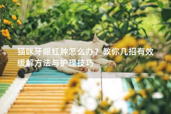 猫咪牙龈红肿怎么办？教你几招有效缓解方法与护理技巧