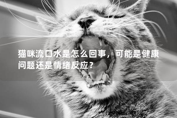 猫咪流口水是怎么回事，可能是健康问题还是情绪反应？