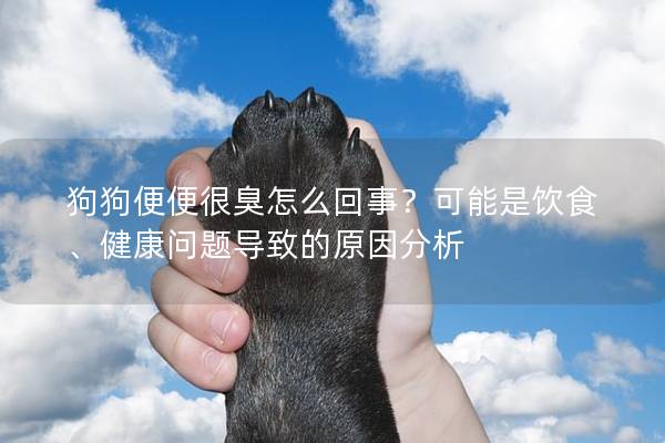 狗狗便便很臭怎么回事？可能是饮食、健康问题导致的原因分析