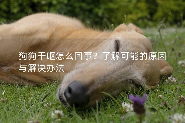 狗狗干呕怎么回事？了解可能的原因与解决办法