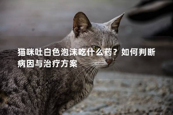 猫咪吐白色泡沫吃什么药？如何判断病因与治疗方案