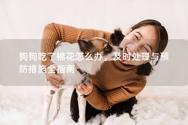 狗狗吃了棉花怎么办，及时处理与预防措施全指南