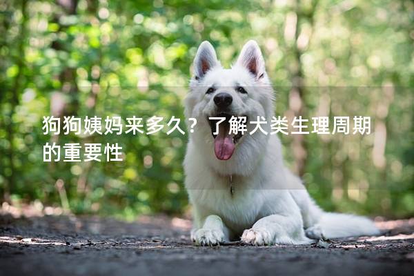 狗狗姨妈来多久？了解犬类生理周期的重要性