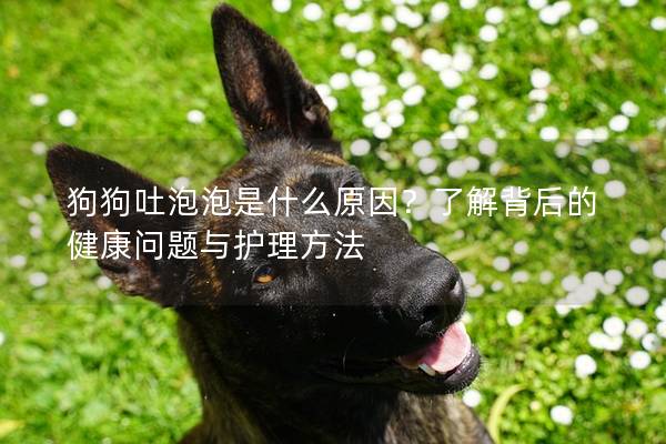 狗狗吐泡泡是什么原因？了解背后的健康问题与护理方法