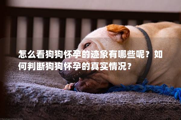 怎么看狗狗怀孕的迹象有哪些呢？如何判断狗狗怀孕的真实情况？