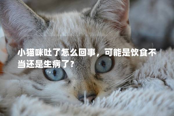 小猫咪吐了怎么回事，可能是饮食不当还是生病了？