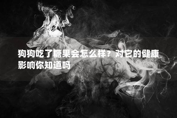 狗狗吃了糖果会怎么样？对它的健康影响你知道吗