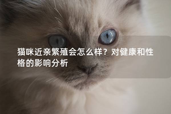 猫咪近亲繁殖会怎么样？对健康和性格的影响分析