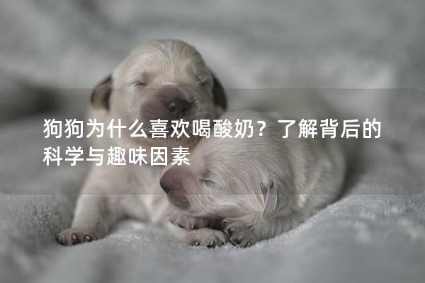 狗狗为什么喜欢喝酸奶？了解背后的科学与趣味因素